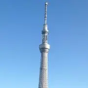 ももの画像