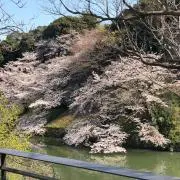 Kurutekの画像