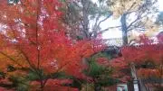 香月の画像