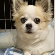 kの画像