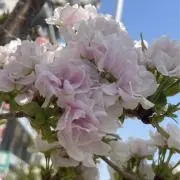 優の画像