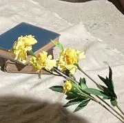☺︎の画像