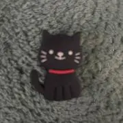 パッカ