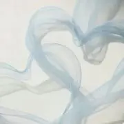rの画像