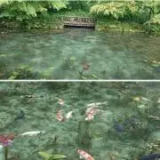 桃心夏