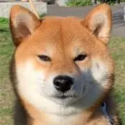 くるーえる・