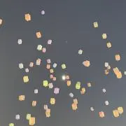 タカラマイの画像