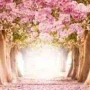 pink♡