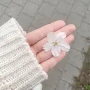 nonomiの画像