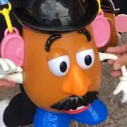 こはるの画像