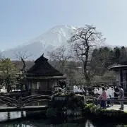 たくの画像