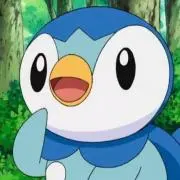 たぬきの画像