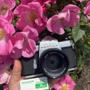dongauto3