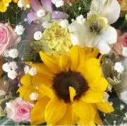 パの画像