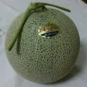 ひらめの画像