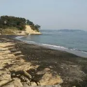 ニック♪