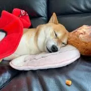 しゃんママ