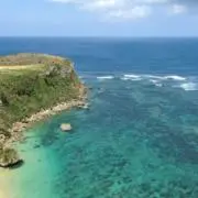 マグロの画像