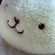 ぷーの画像