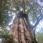 hana_maoの画像
