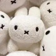 YURIの画像