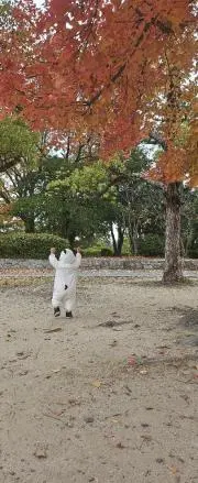 N子供服大量出品【まとめ買い割引実施中】の画像