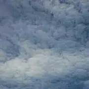 きっくー