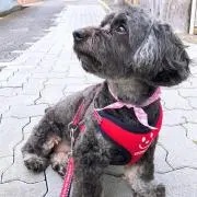 Amy