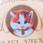 ニャンコ先生の画像