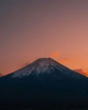 ロルフの画像