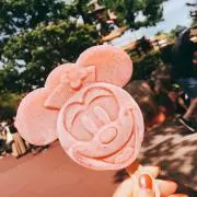 ちぇんの画像