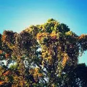 スマートテレビ 大画面 YouTube Skype ジャンク品です。 - メルカリ