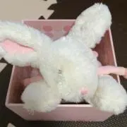 mari.mari