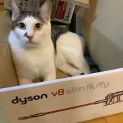 ごとー