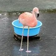 やまちゃんの画像