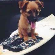 ゆう