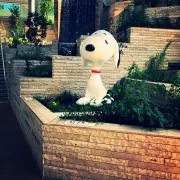 だだの画像