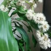 Keyの画像