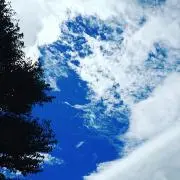 コナンの画像