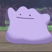 dittoの画像