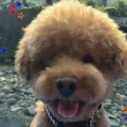 leonmam:-)プロフ読んで下さい。の画像