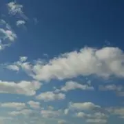 はろ