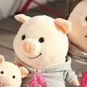 きゃころんの画像