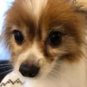 うまか棒☆プロフ読み推奨☆の画像