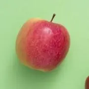 りんごの画像