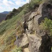 osotaroの画像