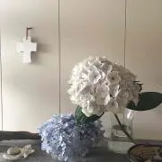 ichikoの画像