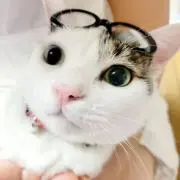 ばたちゃん ( 即購入❌プロフ見てね)の画像