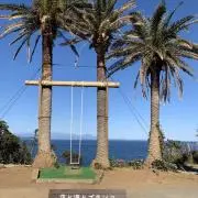 pitakiteの画像