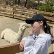 マイの画像